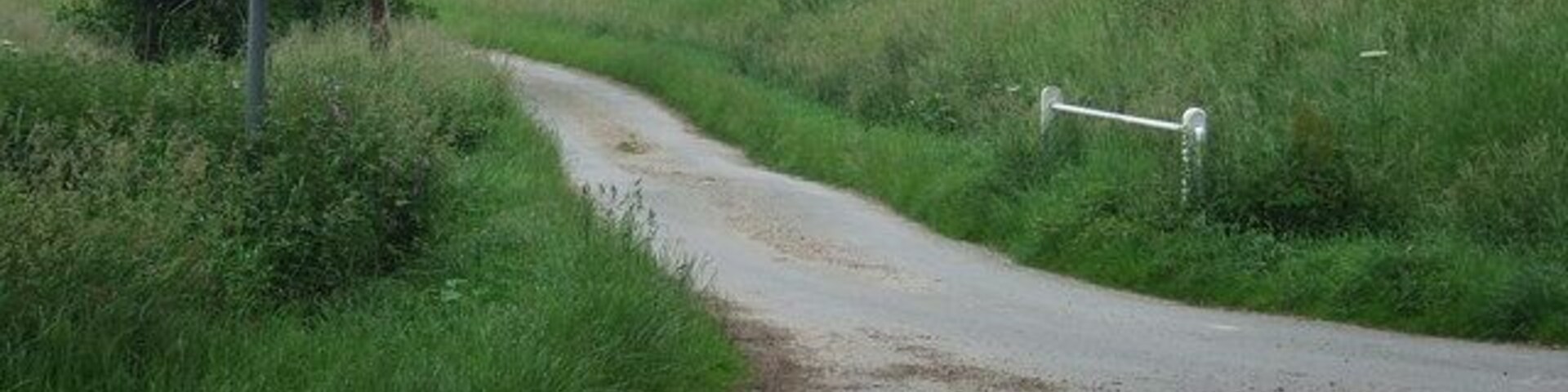 Road To Benningham Hall Minor road to Benningham hall near to Eye Suffolk.