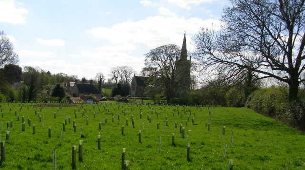 New plantation to the rear of Heydour church. This is a new plantation of mixed young trees; with space being left on the right for the footpath wanderers of the future - when the trees have grown and changed the view.