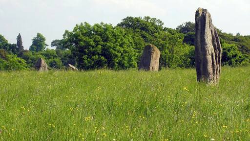 Tuilyies Standing Stones near Torryburn These four stones are said to be the remains of a circle. The name 'Tuilyies' is a corruption of the Scots word 'tulzie' which signifies a fight, and the stones are said to mark the graves of chiefs who fell in an alleged battle here. More information in this article http://www.rcahms.gov.uk/pls/portal/newcanmore.details_gis?inumlink=49451