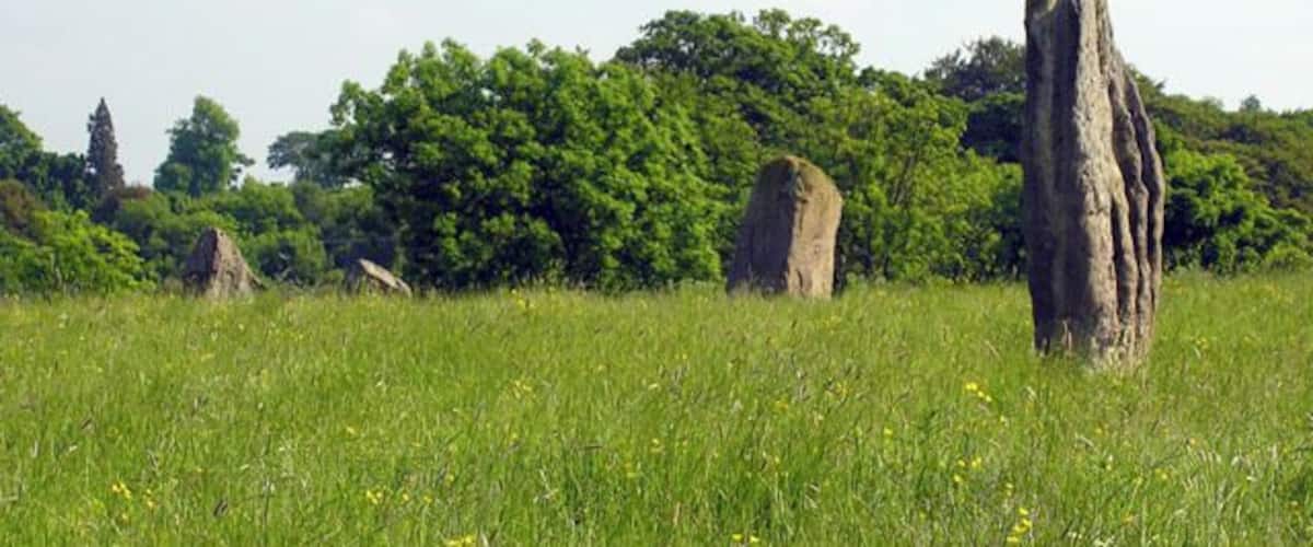 A grassy field with large rock formations and dense green trees in the background.