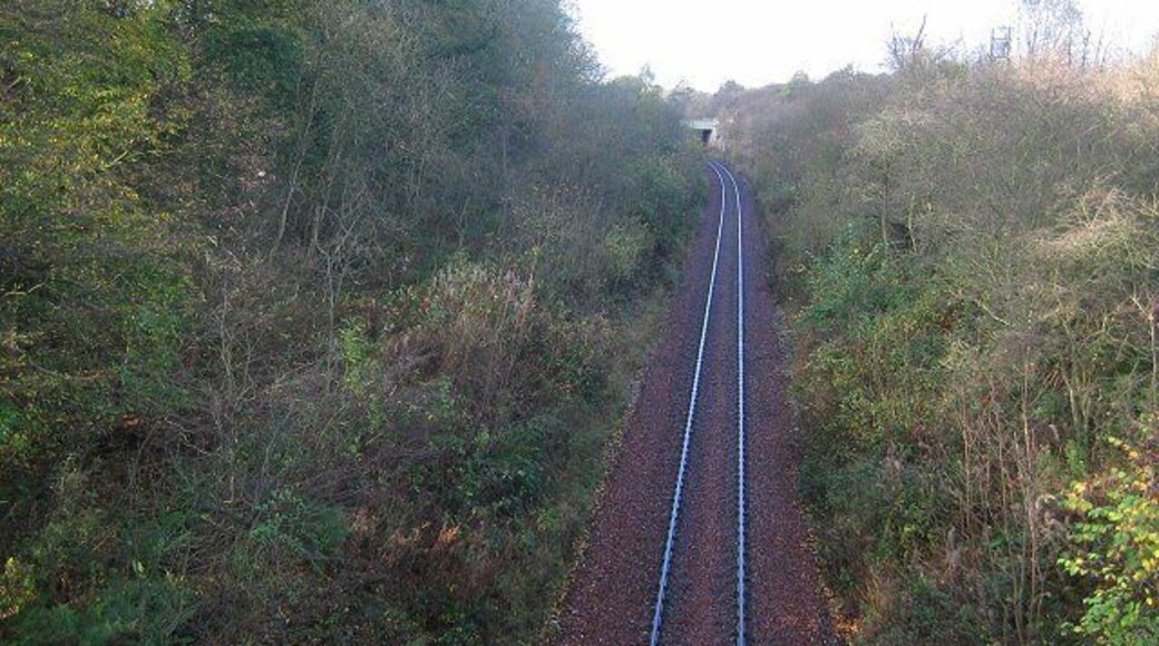 Railway, Cairneyhill. Freight only railway serving Longannet Power Station. Looking west from just outside Cairney Hill.