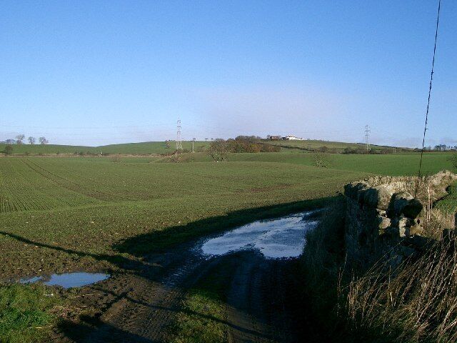 Duck Hill. Looking northwards to Duck Hill.