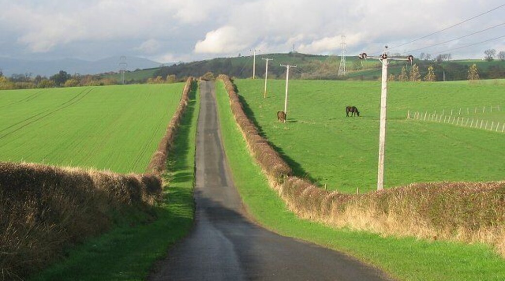 Pitdinnie Road. View north with the Ochil Hills in the background.