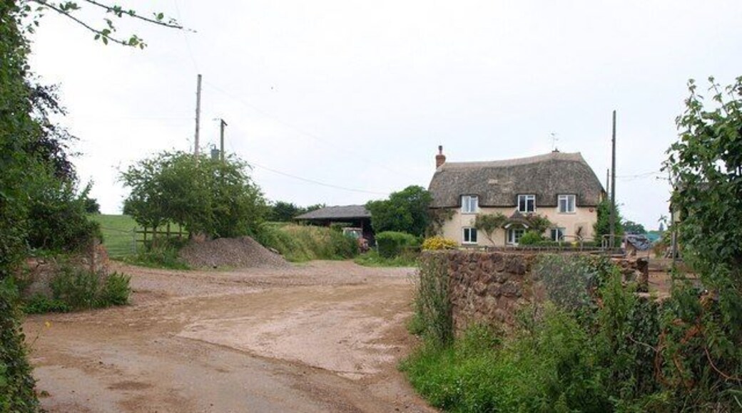 Broom Farm The thatched farmhouse, seen from a bend in the winding Broom Lane.