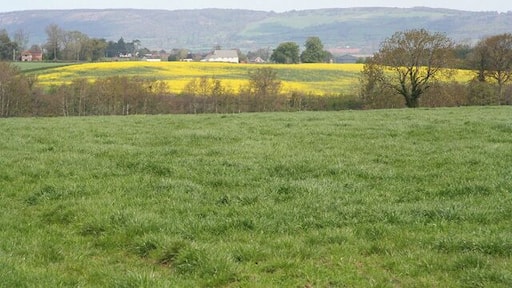 Oake: towards Hillfarrance. View north east over farmland