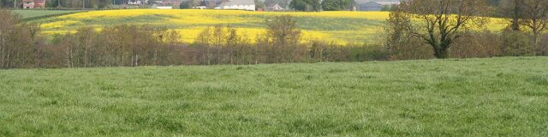 Oake: towards Hillfarrance. View north east over farmland