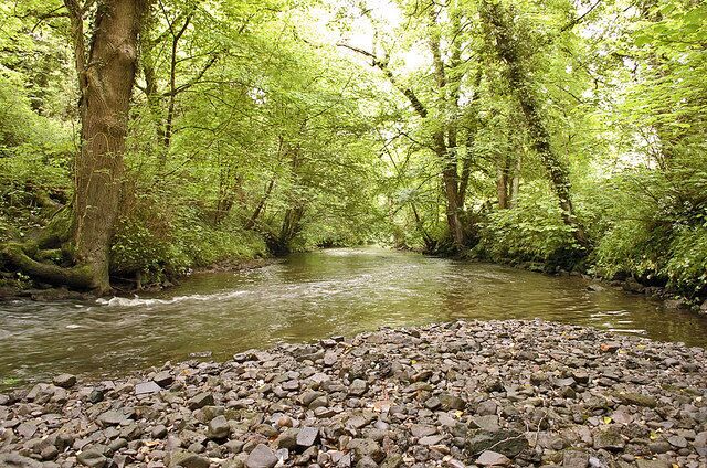 River Churnet at Oakamoor Looking downstream from a point just after the channelled section