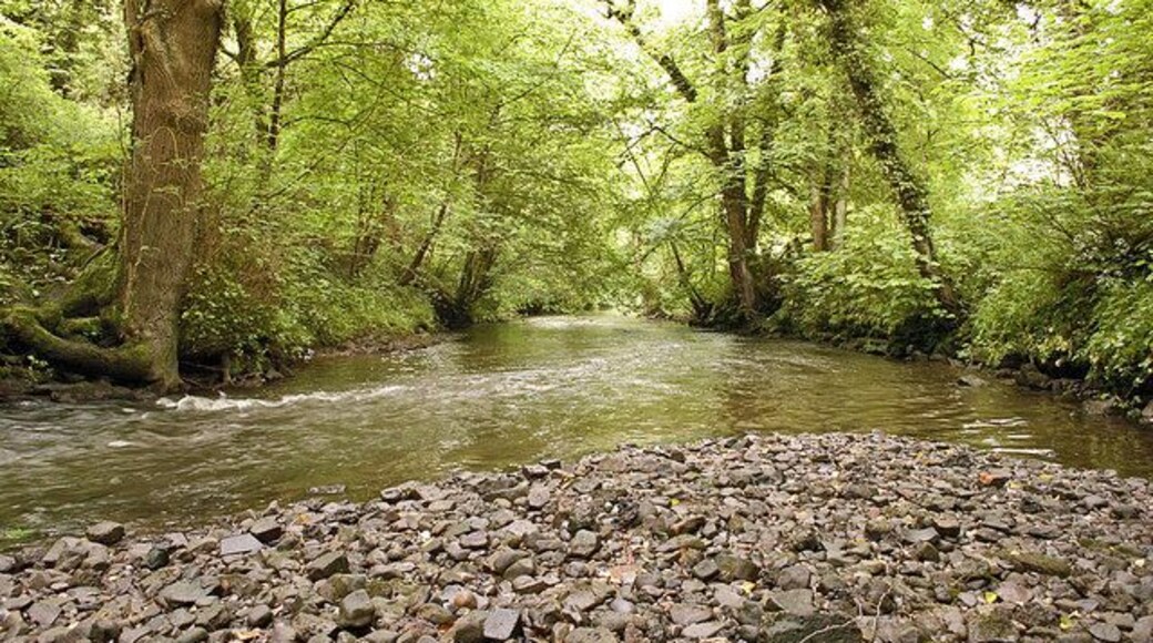 River Churnet at Oakamoor Looking downstream from a point just after the channelled section