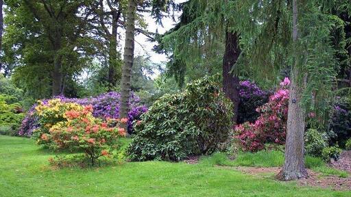 Nuneham Courtney Arboretum