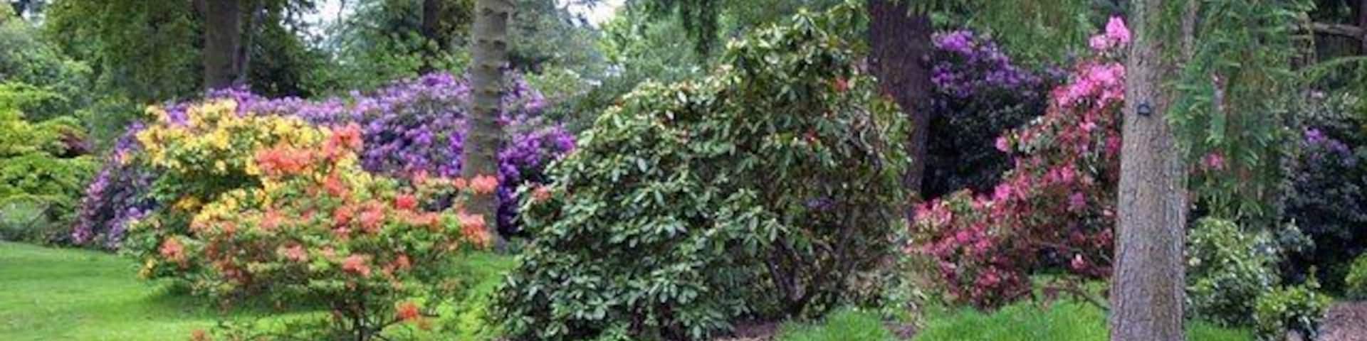 Nuneham Courtney Arboretum