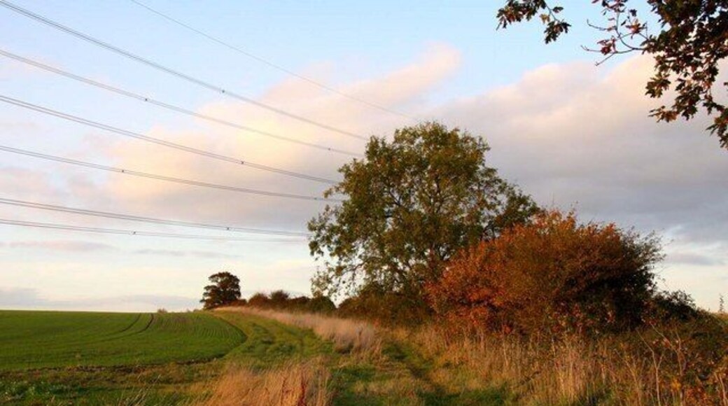 Footpath to Sandford Brake