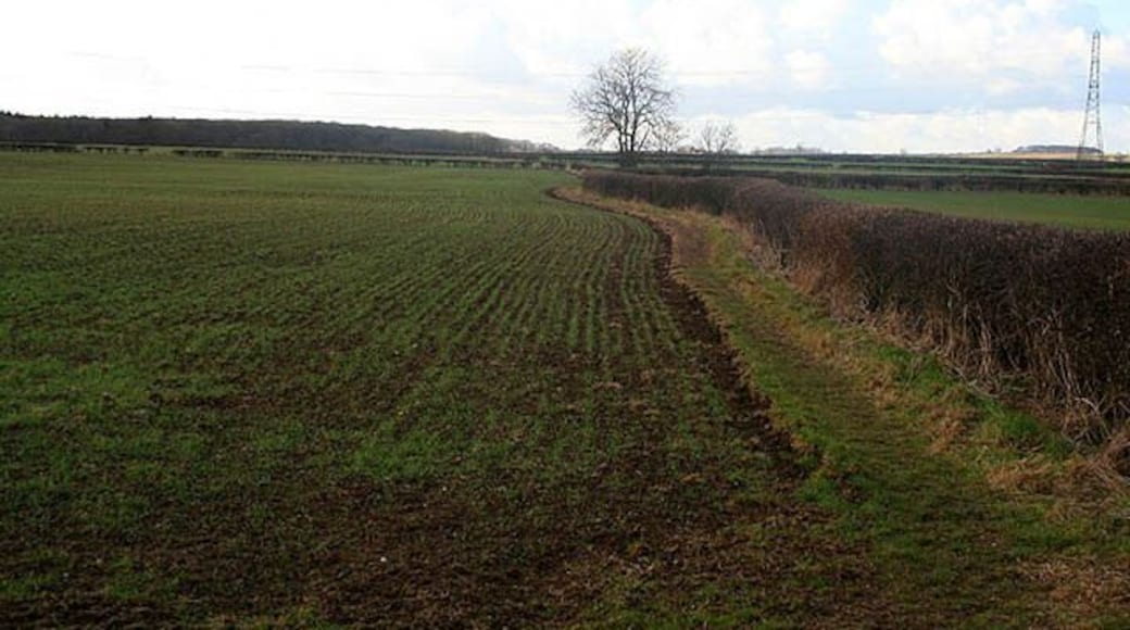 Path to Park Wood From the Caunton to Norwell Road.