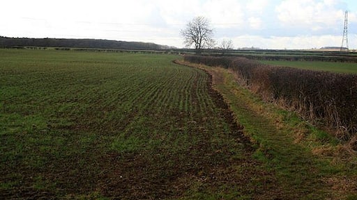 Path to Park Wood From the Caunton to Norwell Road.