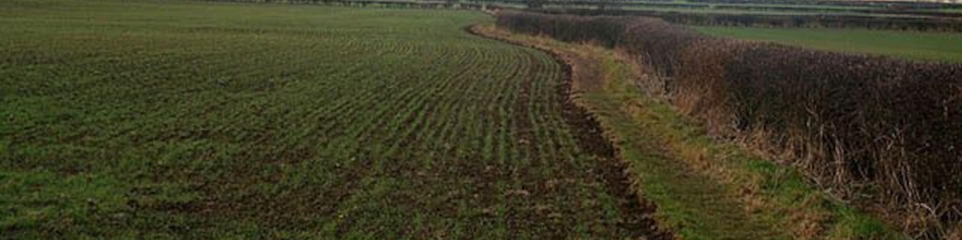 Path to Park Wood From the Caunton to Norwell Road.
