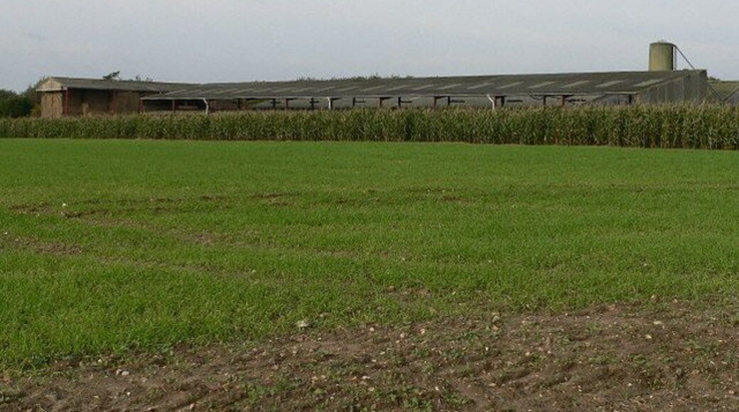 Industrial Farming What appeared to be a poultry unit near St. Mary's Church.