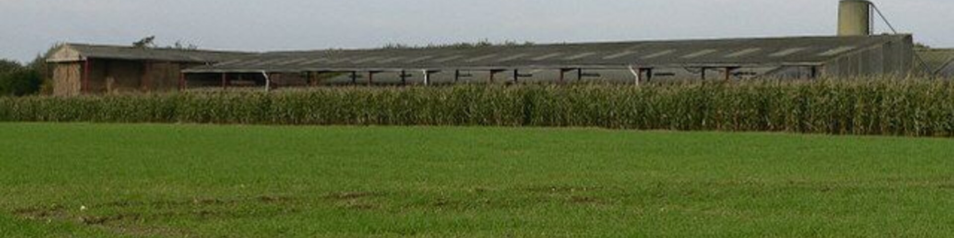Industrial Farming What appeared to be a poultry unit near St. Mary's Church.