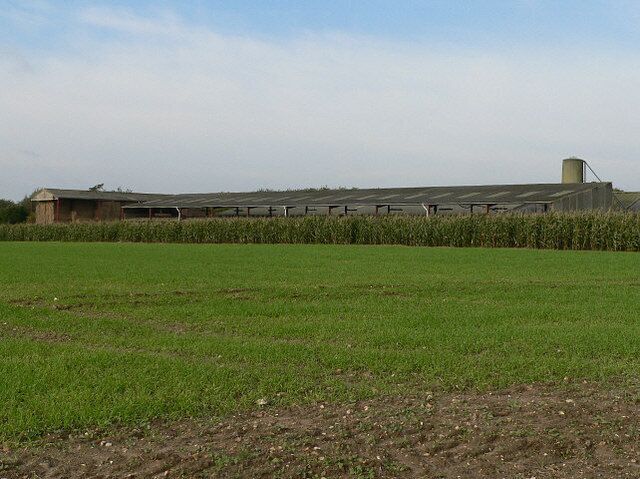 A green field with a large building and a silo in the background.