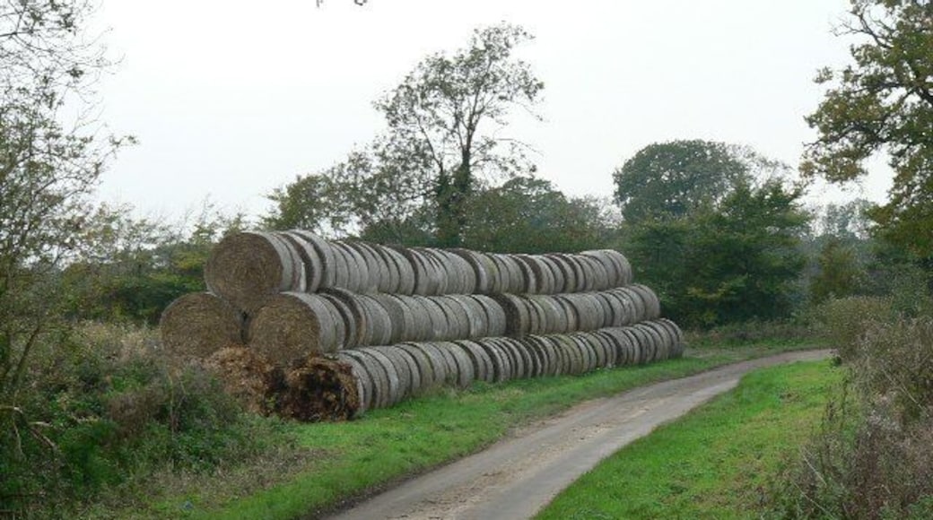 A Straw-Lined Road Bales of straw on Mill Road, North-west of Ballard's Bridge.