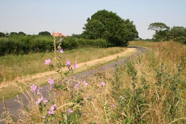 Girton Lane. From Mill Dam Dyke bank
