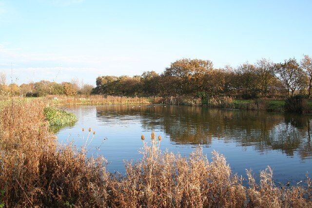 Mallard Lake. The appropriately named Mallard lake, one of the Collingham Angling Association fishing ponds at the former sand and gravel pits near Spalford