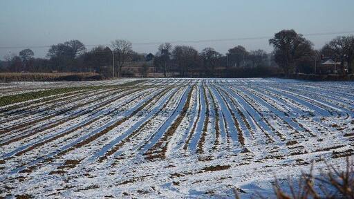 Over the border Chilly view from Nottinghamshire to Lincolnshire