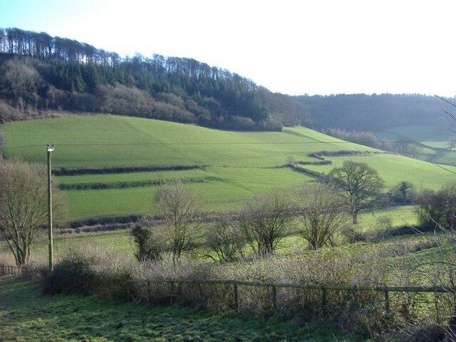 Waterley Bottom Looking across to Monkcombe Wood.