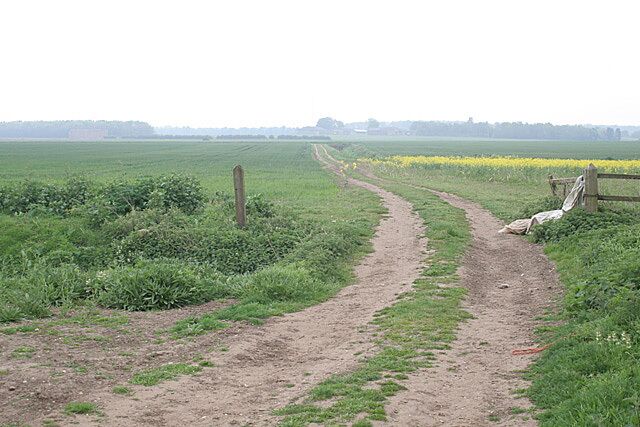 Damford Grounds Lincolnshire fenland agriculture.
