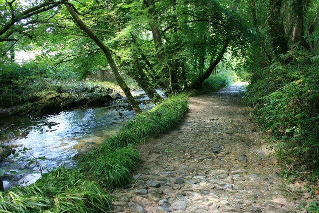 A stone path beside a stream in a wooded area.