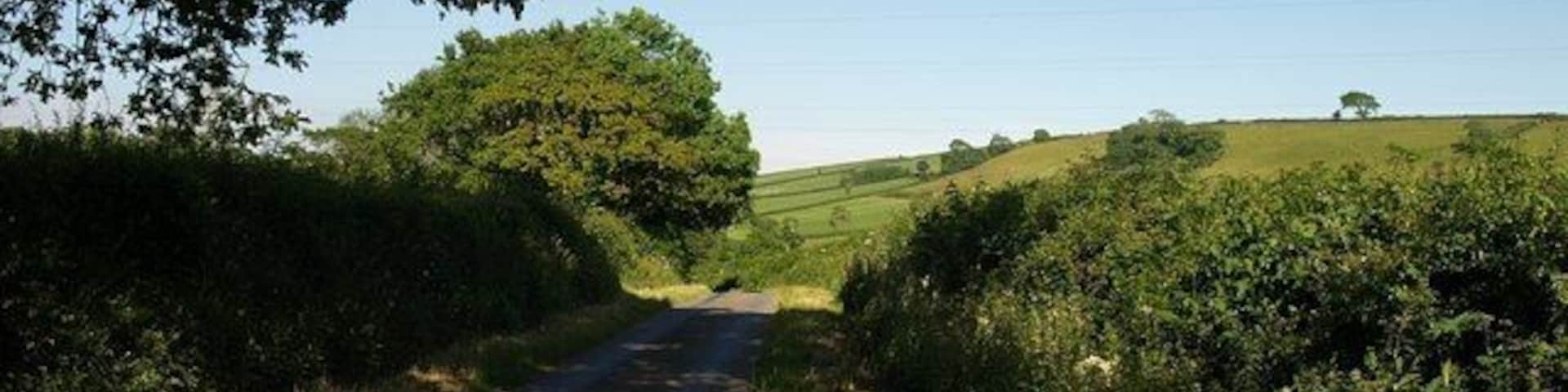Lane near Avonwick The lane from Avonwick to Charford passes oak trees as it crosses a low shoulder between the Avon valley and the Charford Brook valley.
