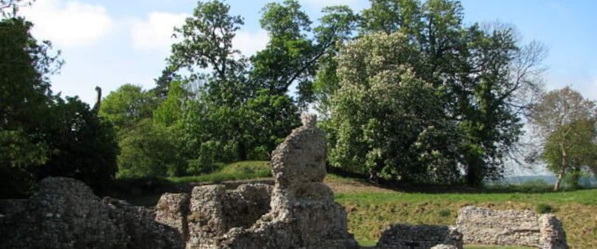 Ancient stone ruins with a grassy hill and trees in the background.