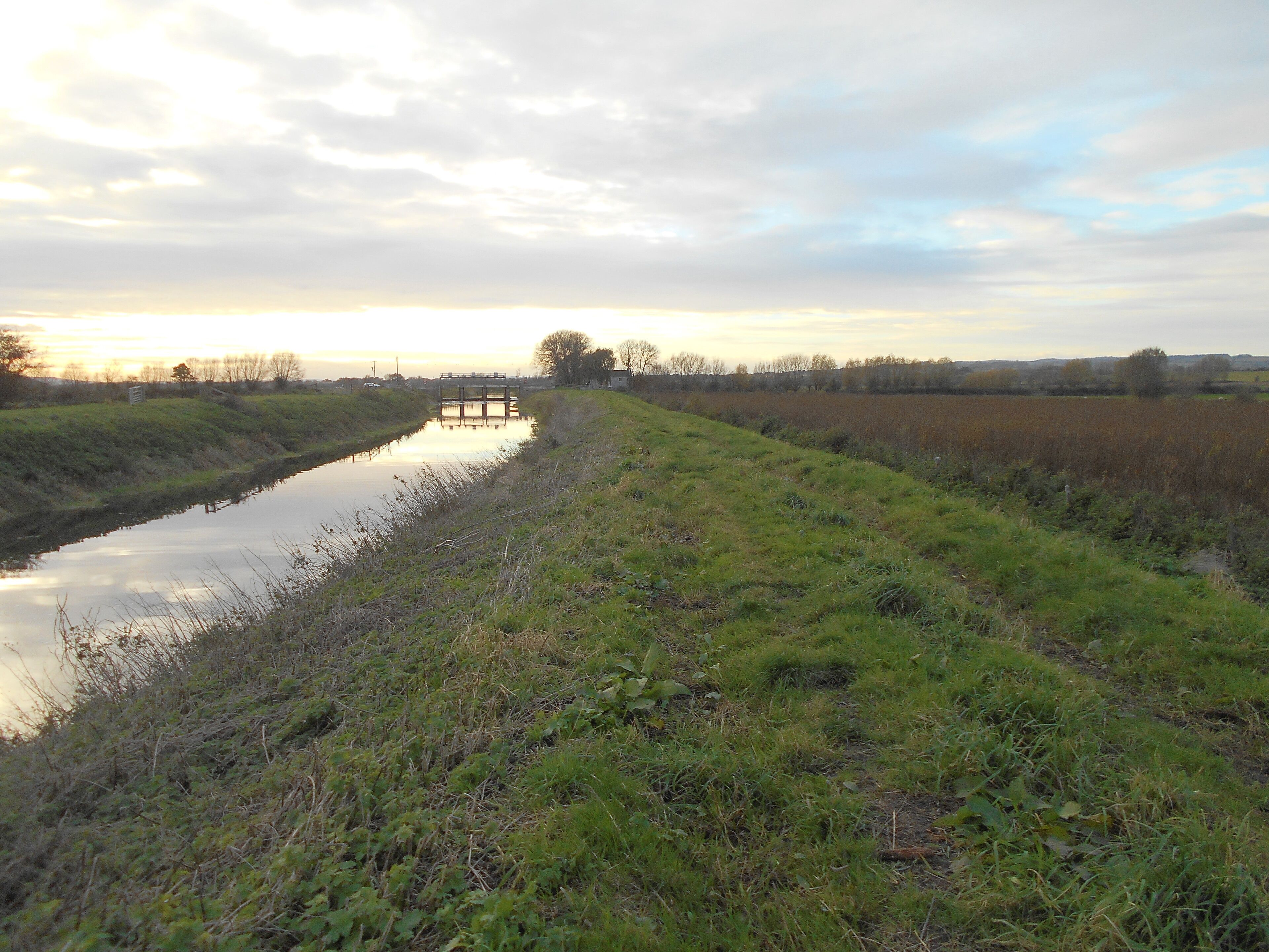 New Bridge, carrying New Road over the River Tone, on Curry Moor, near North Curry.