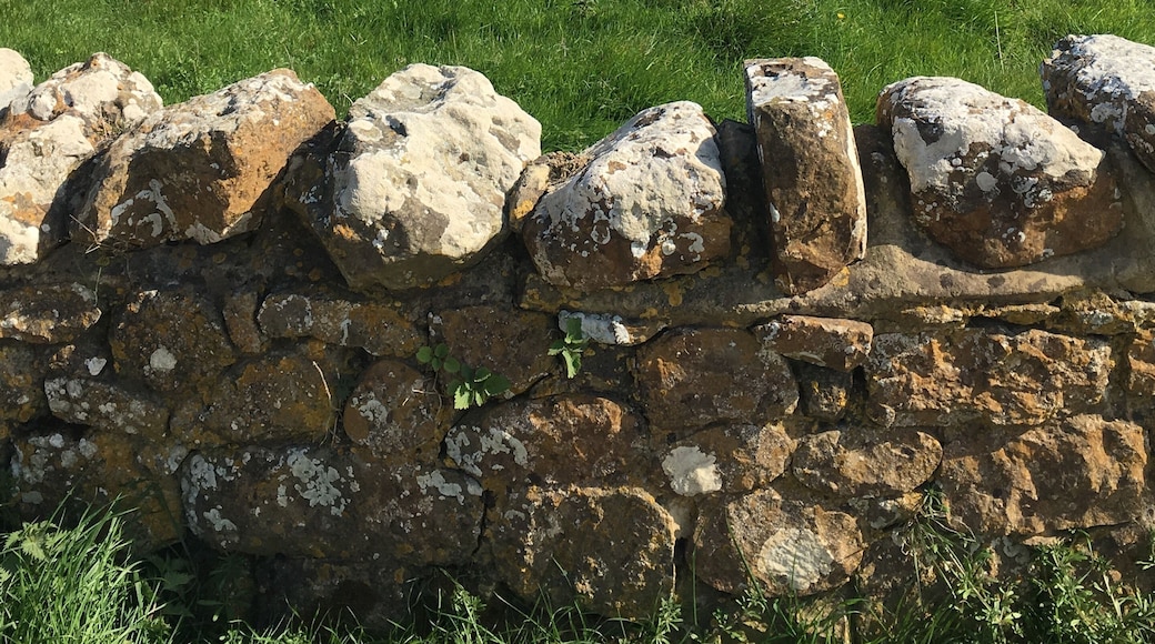 Just a beautiful place. So quiet and unspoiled 😍