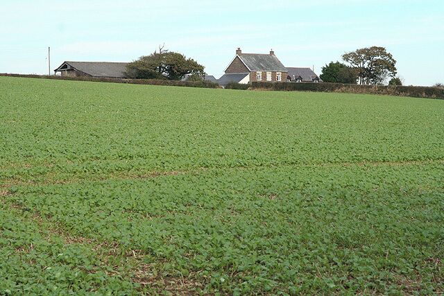 Newton St Petrock: towards Coombe Farm Looking north east across farmland