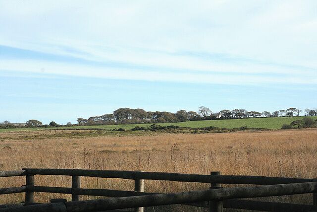 Newton St Petrock: Doves Moor Looking south east
