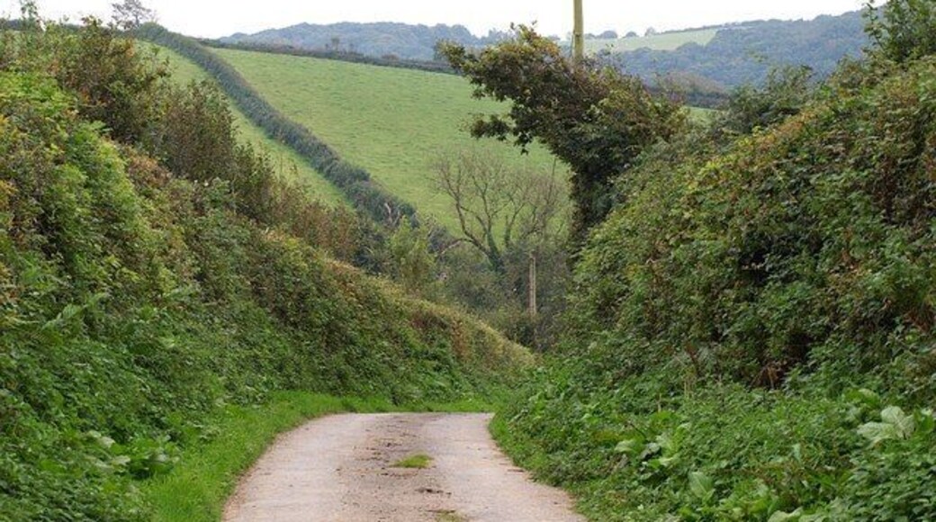 Lane to Newton Mill The dead end lane leading south from Newton St Petrock dives down to cross a very minor tributary of the Torridge.
