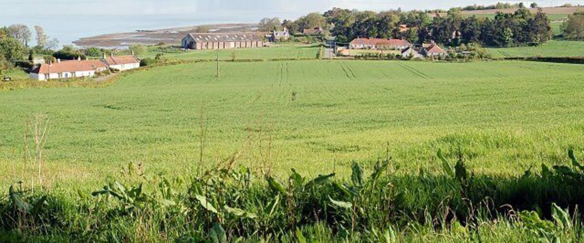Balmerino farmlands Looking down towards Balmerio and across the Tay towards Invergowrie and the western edge of Dundee. The Abbey is in the woods behind the houses on the right.