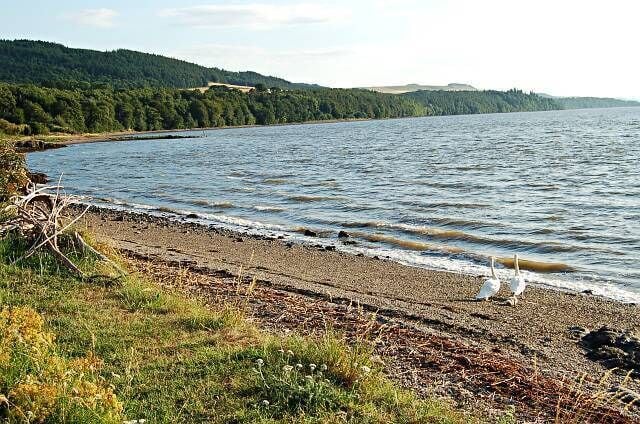 Balmerino Bay. From the east edge of the square looking west along its length. The pier is in the middle distance.