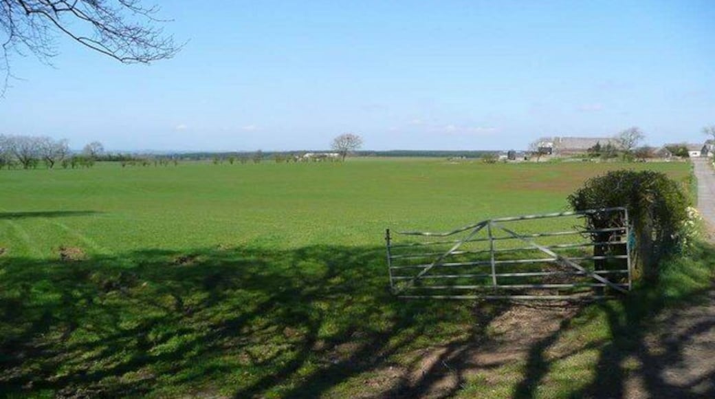 Over the fields to Muirside farm Alton Muirhouse farm showing to the right, up the track.