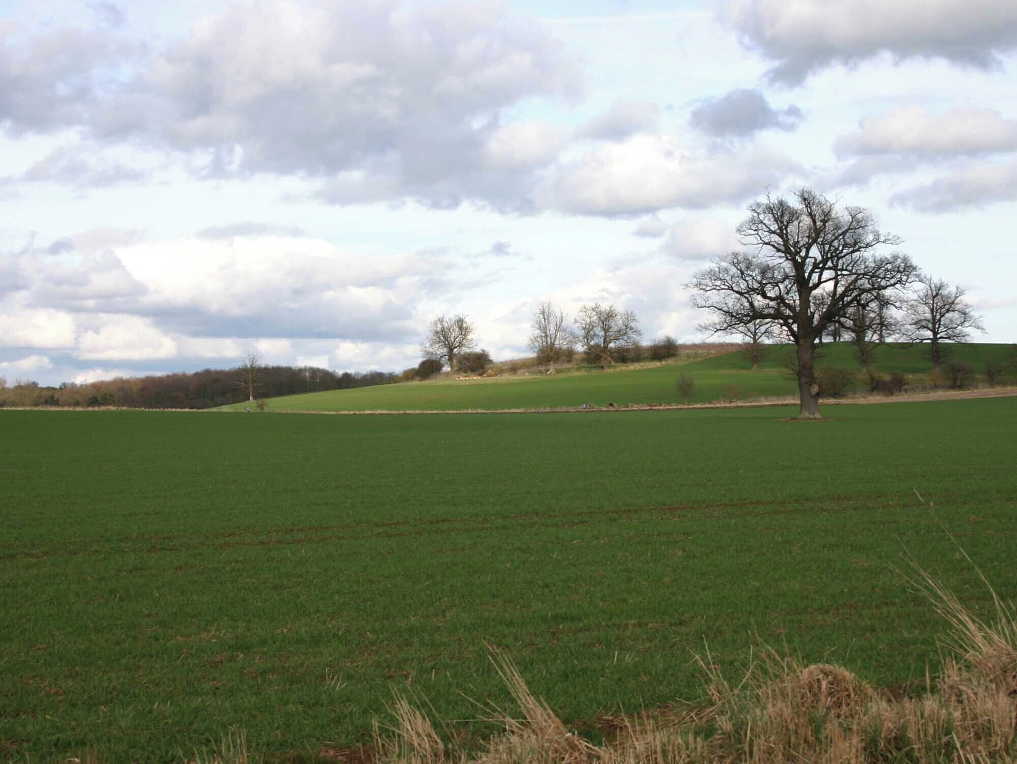 View east from the bridleway to Halford Looking east across the north of the gridsquare.