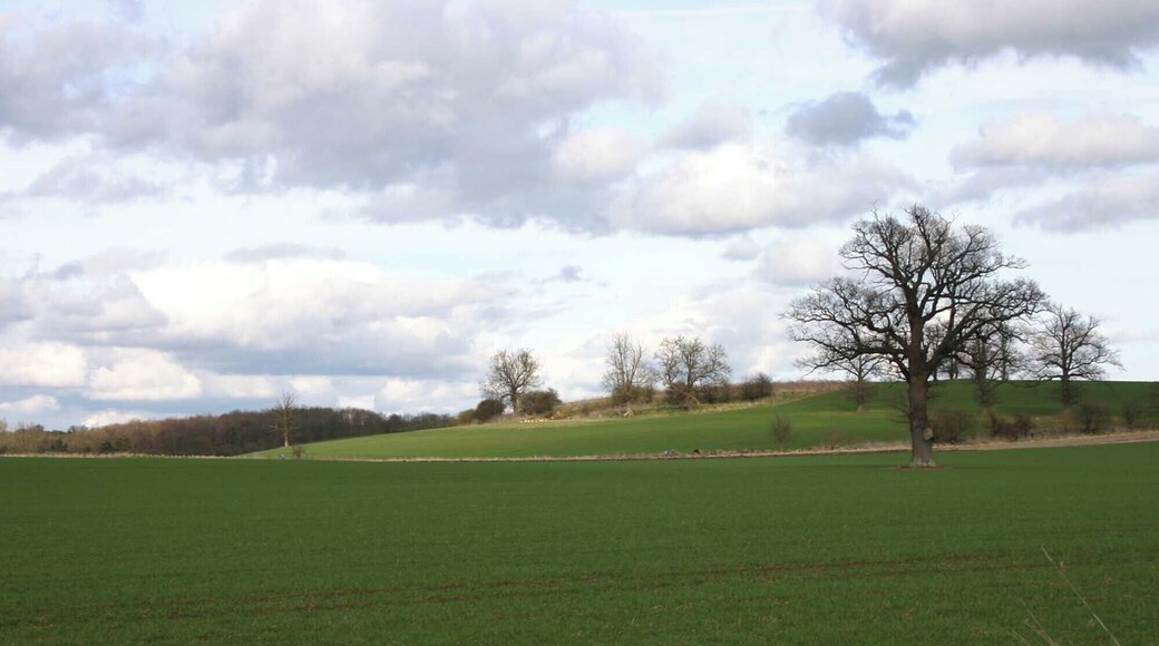 View east from the bridleway to Halford Looking east across the north of the gridsquare.