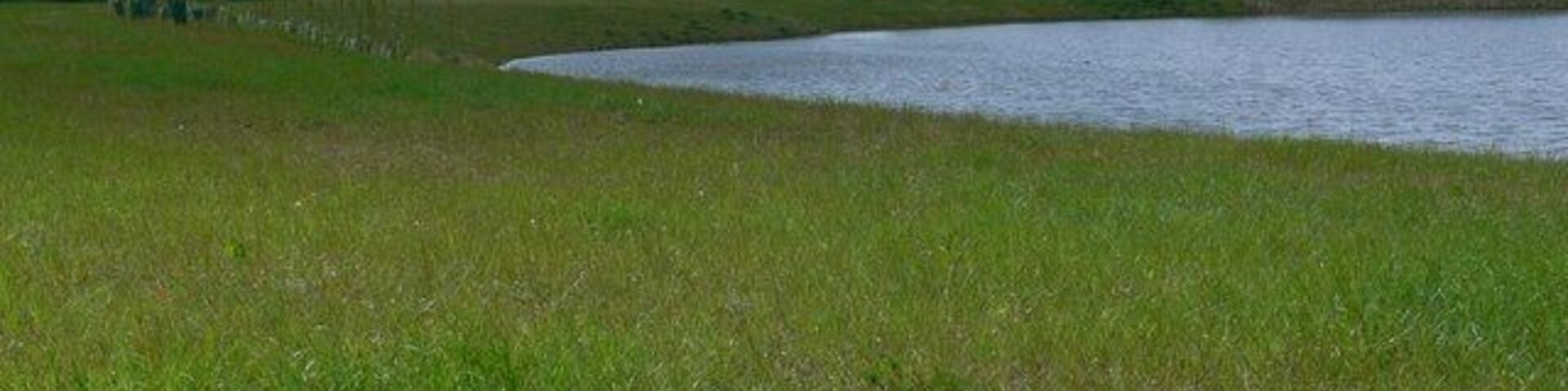 Pool near Brascote in Leicestershire
