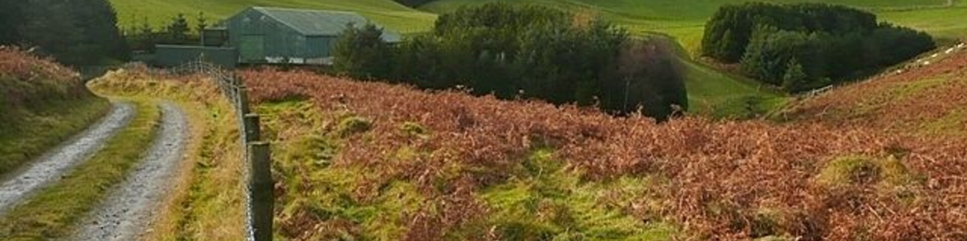 Paisaje rural con colinas onduladas, un sendero de grava y una construcción agrícola.
