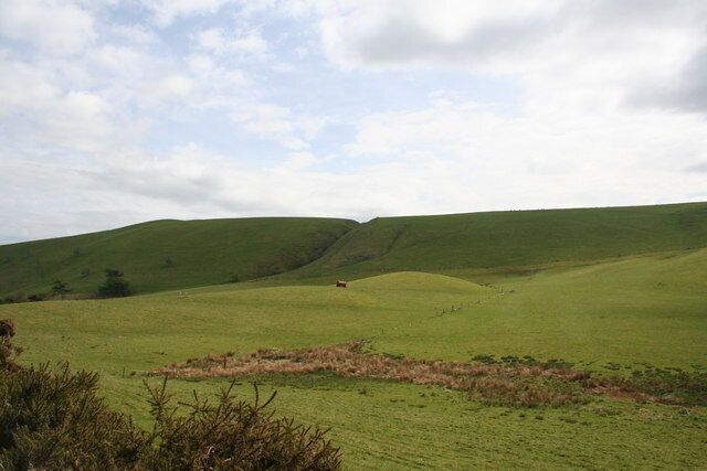 Rolling green hills with a small animal in the distance.