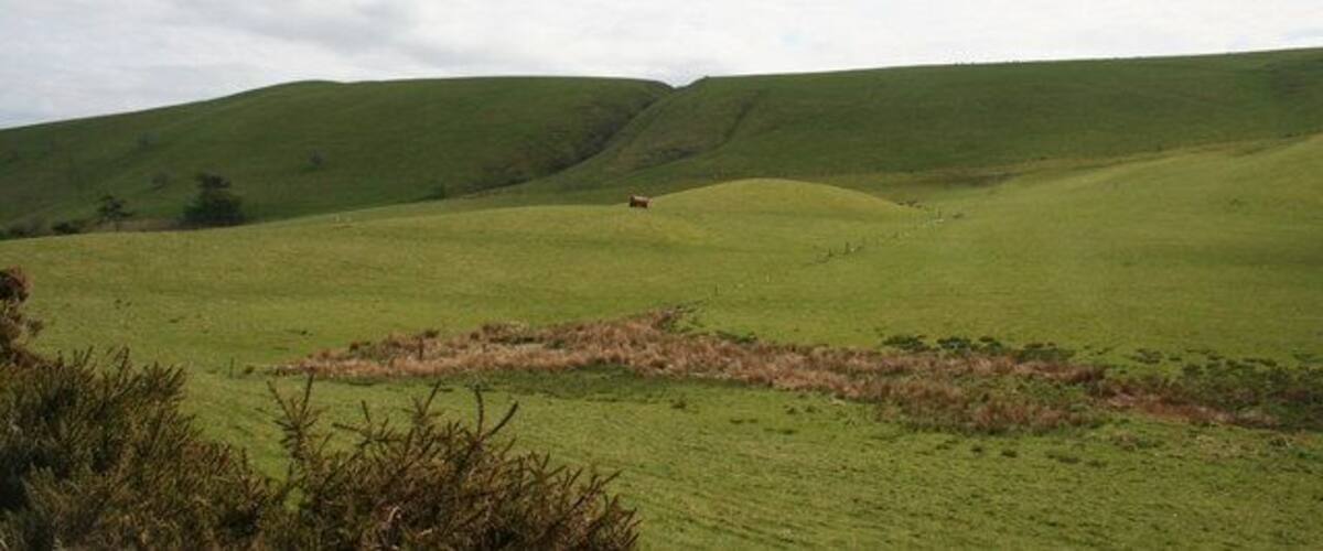 Rolling green hills with a small animal in the distance.