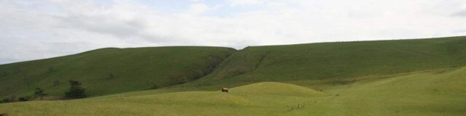 Rolling green hills with a small animal in the distance.