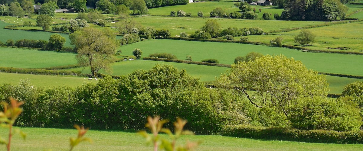 Rolling green hills, scattered trees, and a distant tower.