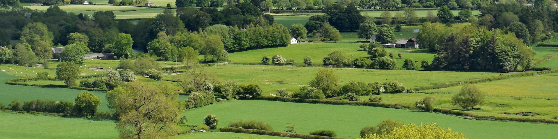Rolling green hills, scattered trees, and a distant tower.