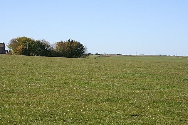 Essonquoy The farm buildings at Essonquoy are hidden among the trees.