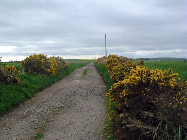 Track to North Bedlam View south
