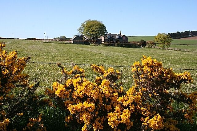 North Mains of Culsh. Taken from the signposted path which passes along the field edge and goes on to Stevensburn 434159.